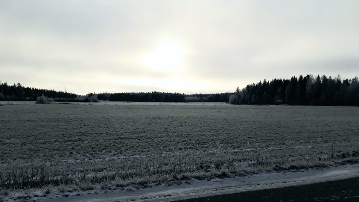 Talvista peltoaukeaa Vetelin Räyringissä.