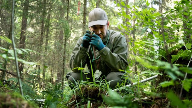 Kenttäbiologi Lauri Heikkonen tekee metsäkasvillisuuskartoitusta metsässä Hämeenkyrössä.