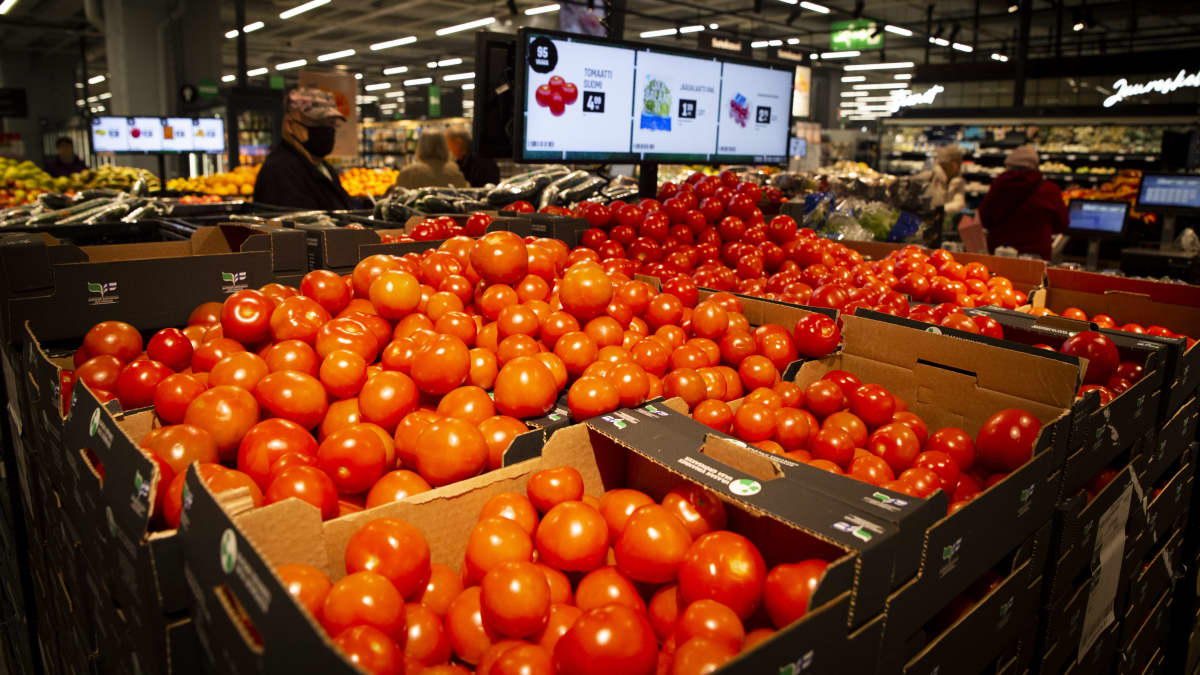 tomaatit, kauppakeskus, kaari, prisma, tomaatit loppuvat, energian hinta, sähkö , elintarvikkeet, ulkomainen tuonti.