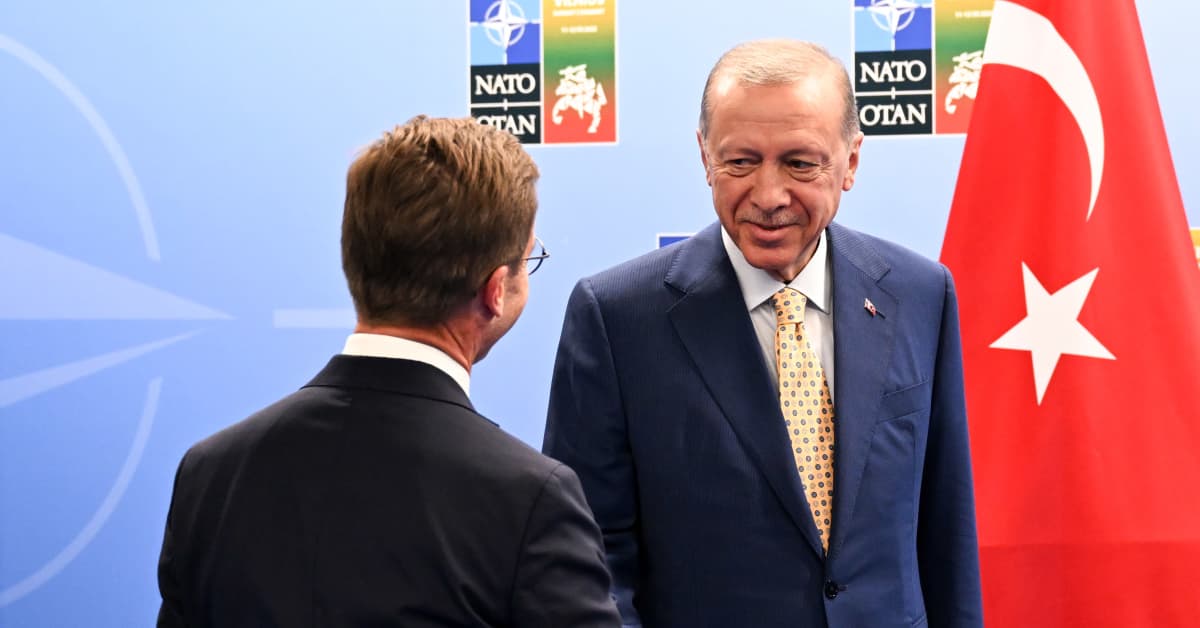 Ruotsin Nato-jäsenyys sai yllättävän käänteen – Nyt Turkkikin sitoo hävittäjäkaupan Ruotsin jäsenyyteen