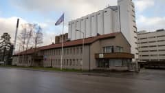 Raisio Oyj:n Nokian mylly ulkoa. Pihassa liehuu lippu.