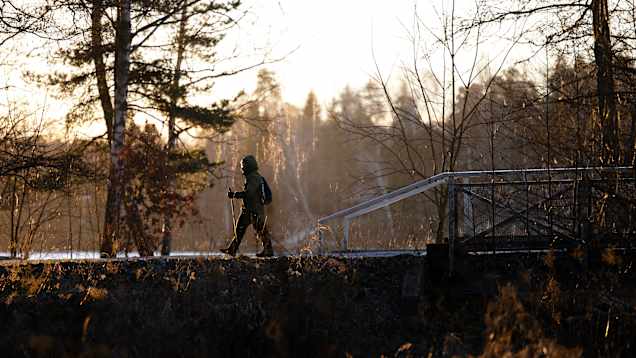 Person in winter clothing walking along a footpath in the forest next to a bridge, with the sun low on the horizon.