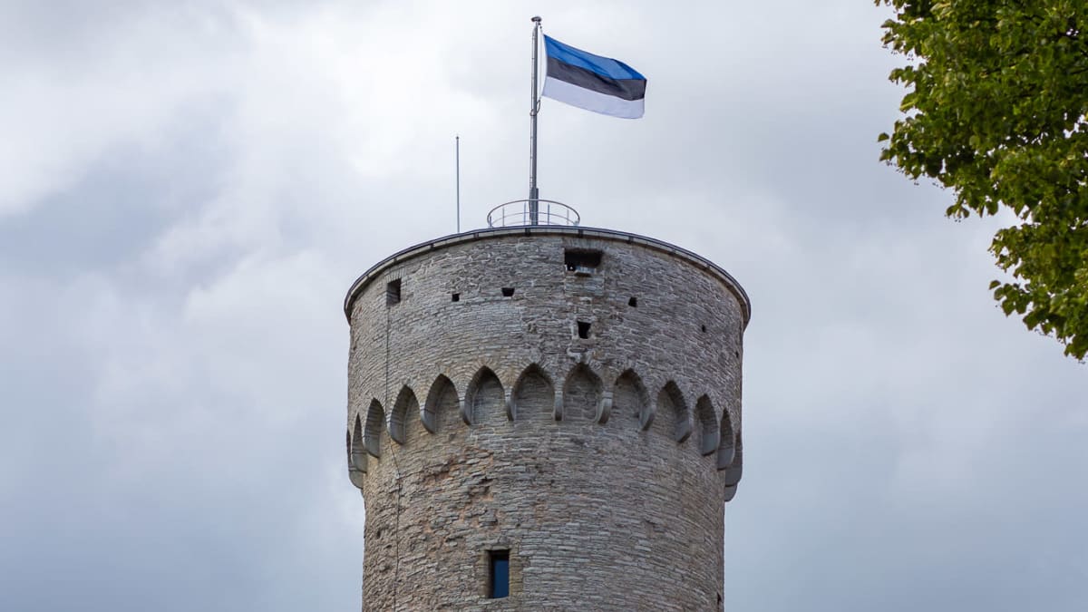 Viron lippu liehuu Pitkän Hermannin tornissa Tallinnassa Toompean kukkulalla