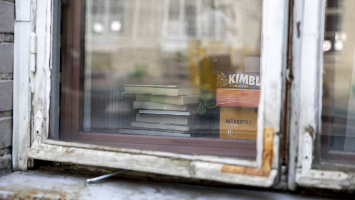Kirjoja ja pelejä erottuu ikkunan takaa.