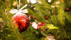 Joulukuusen oksia ja joulukoristeita, edustalla punainen pallo..