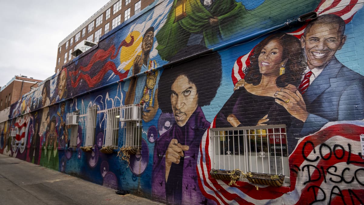 Upea tiilitalon seinään maalattua muraali Washingtonissa. Entiselle segregaatiorajalle maalatun maalauksen aiheena ovat eri yhteiskunta-alojen afroamerikkalaiset vaikuttajat.