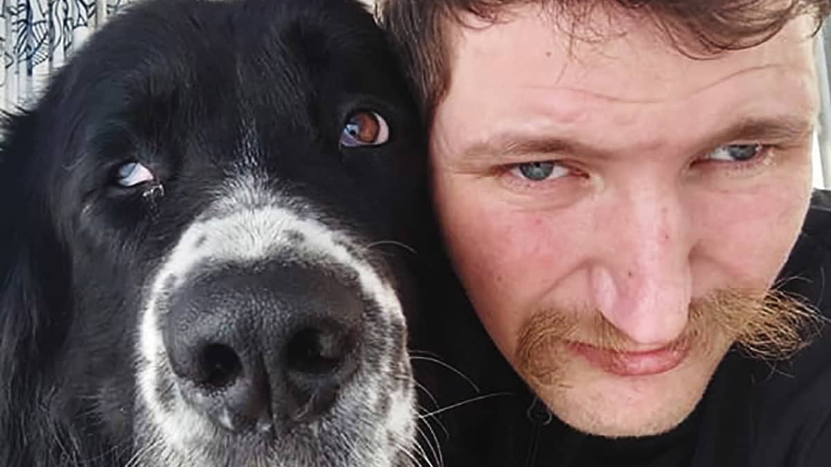 Miehen selfie suuren mustavalkoisen koiran kanssa.