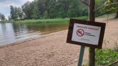 Kuva kyltistä rannalla, joka varoittaa sinilevästä. Kyltissä lukee, että uiminen ei ole suositeltavaa.