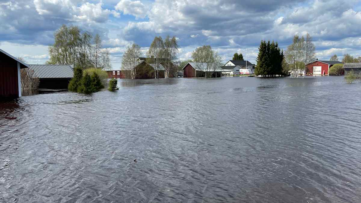 Tulvavettä pellolla. Takana näkyy taloja.