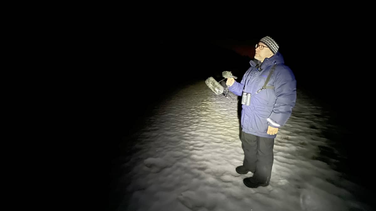 Hannu Varkki tallentaa lehtopöllön ääntä yön pimeydessä Sipoonkorven kansallispuistossa.
