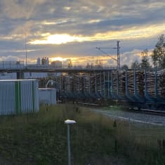Täysi puutavarajuna kulkee raiteilla kohti tehdasta.