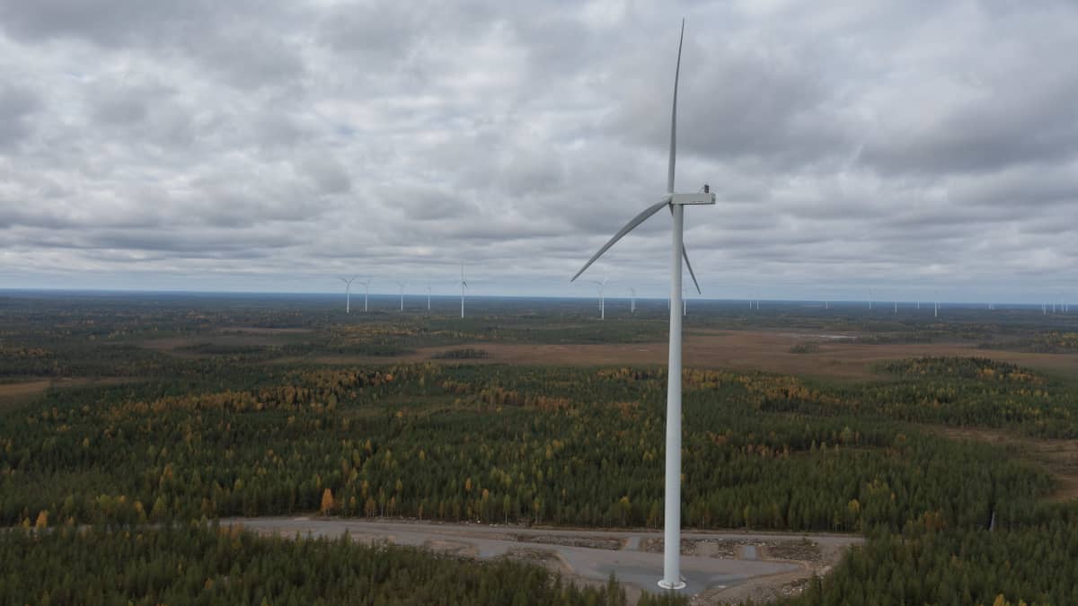 Yksi Piiparinmäen tuulivoimaloista edustalla. Taustalla useampi kaukaisuudessa.