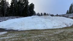 Hämeenlinnan Ahveniston moottoriradan alueelle viime kevättalvella säilötty lumikasa ensilumen latuja varten otettiin peittojen alta esiin marraskuun puolessa välissä 2022.