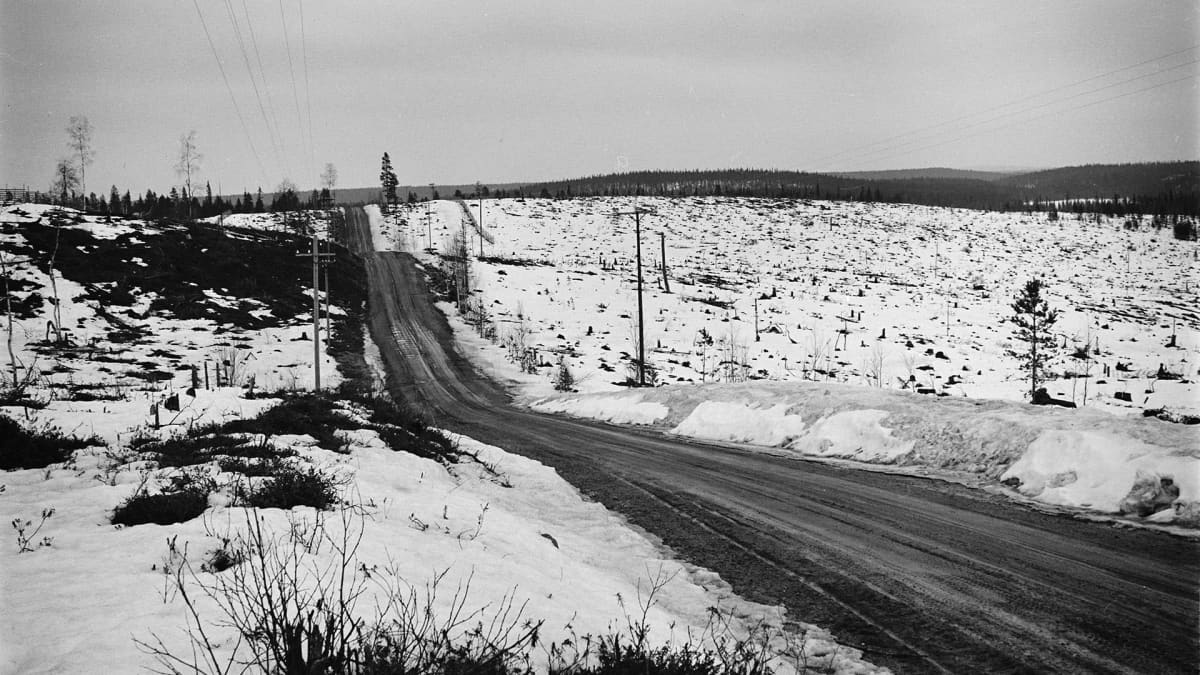 Avohakkuualue Kuusamossa 1966