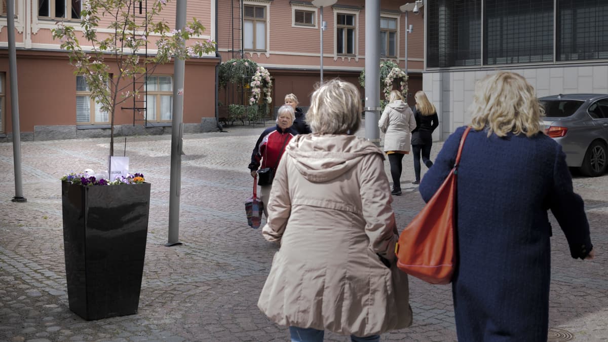 Kalalokki hautoo munia kukkaistutuksessa Jyväskylän keskustassa. Ihmisiä kävelee pesän vieressä.