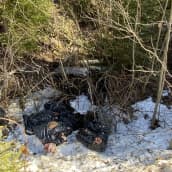 Sianruhoja lojui ojassa mustissa jätesäkeissä Ylöjärvellä.