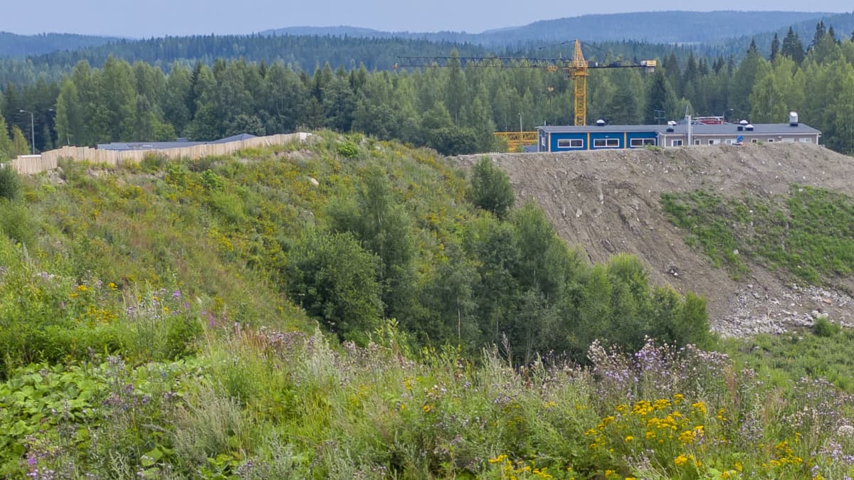 Rajamäen ampumaradan meluvalli