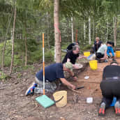 Arkeologiseen kaivaukseen osallistuvia ihmisiä metsän reunassa sijaitsevalla kaivauspaikalla.