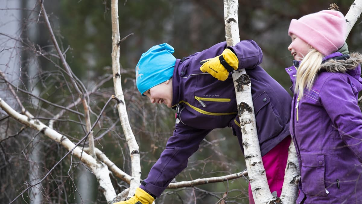 Lapsia kiipeilemässä puussa koulun pihalla.