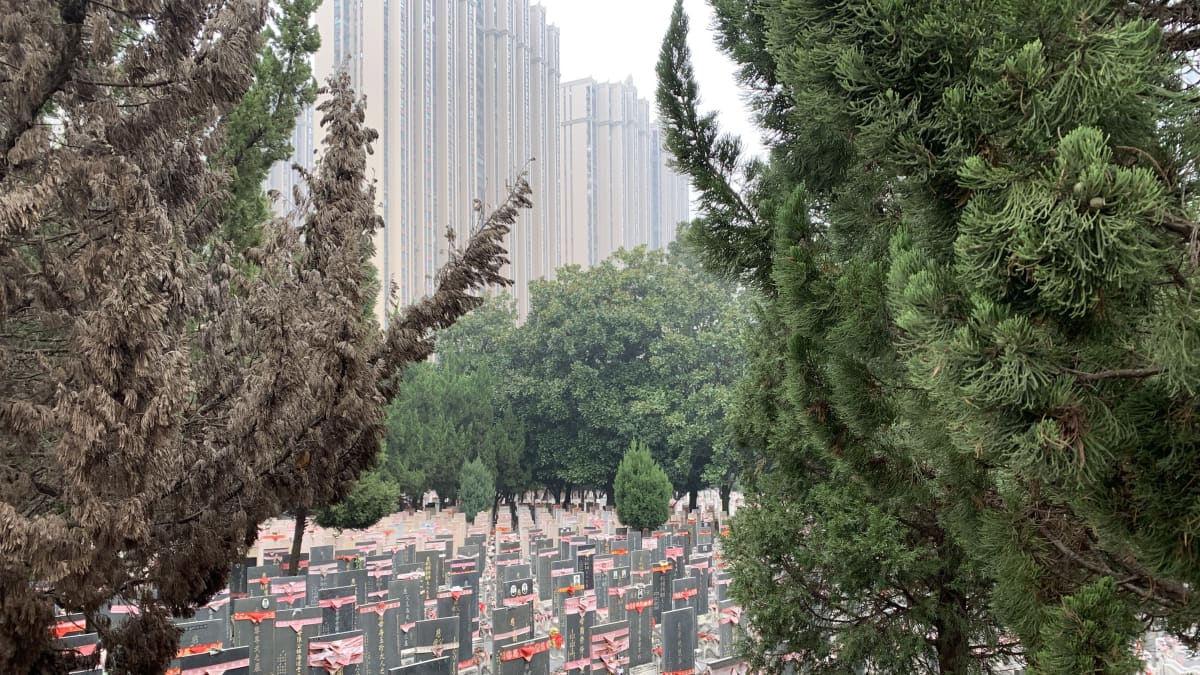 kiinalainen hautausmaa, litteitä korkeita hautakiviä, taustalla korkeita asuintaloja