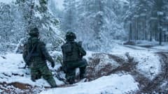 Kaksi maastoasuista sotilasta odottaa aseistautuneina polvillaan lumisella metsätiellä.