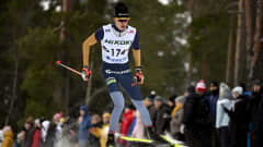 Niko Anttola.