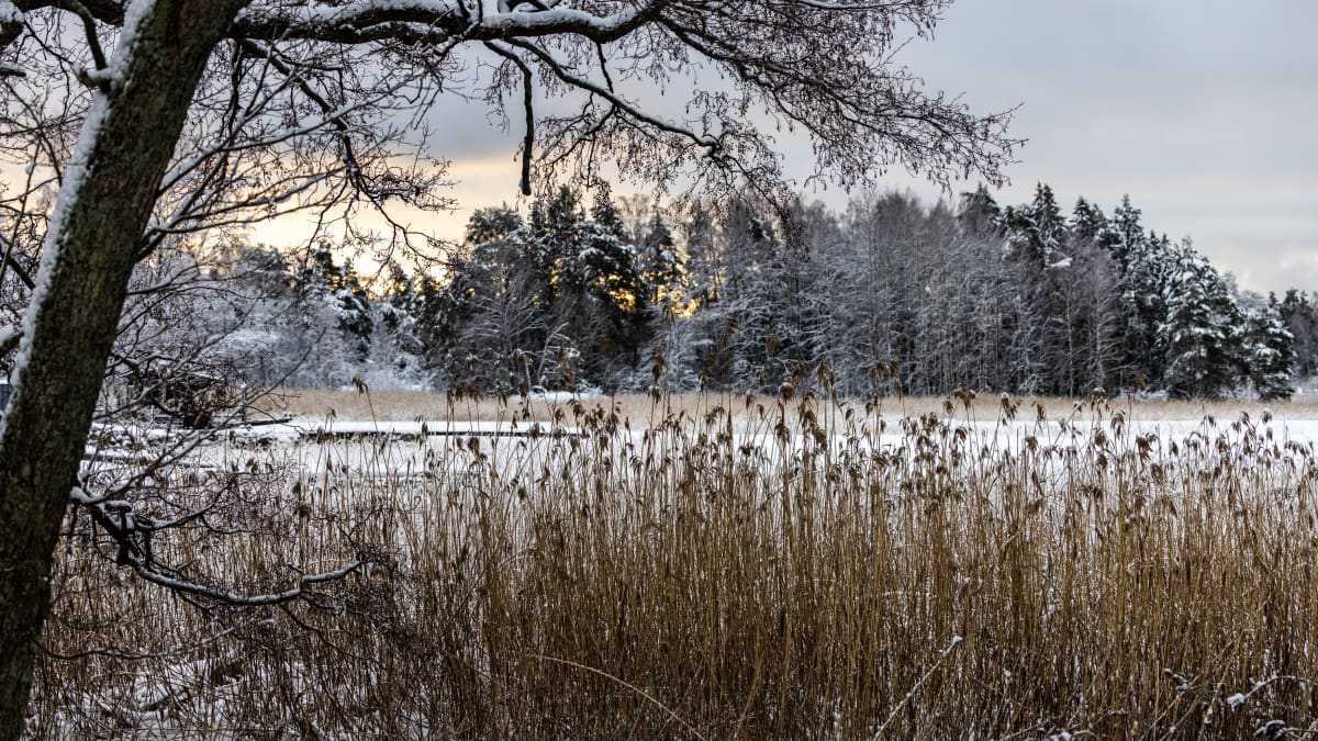 Luminen maisema.