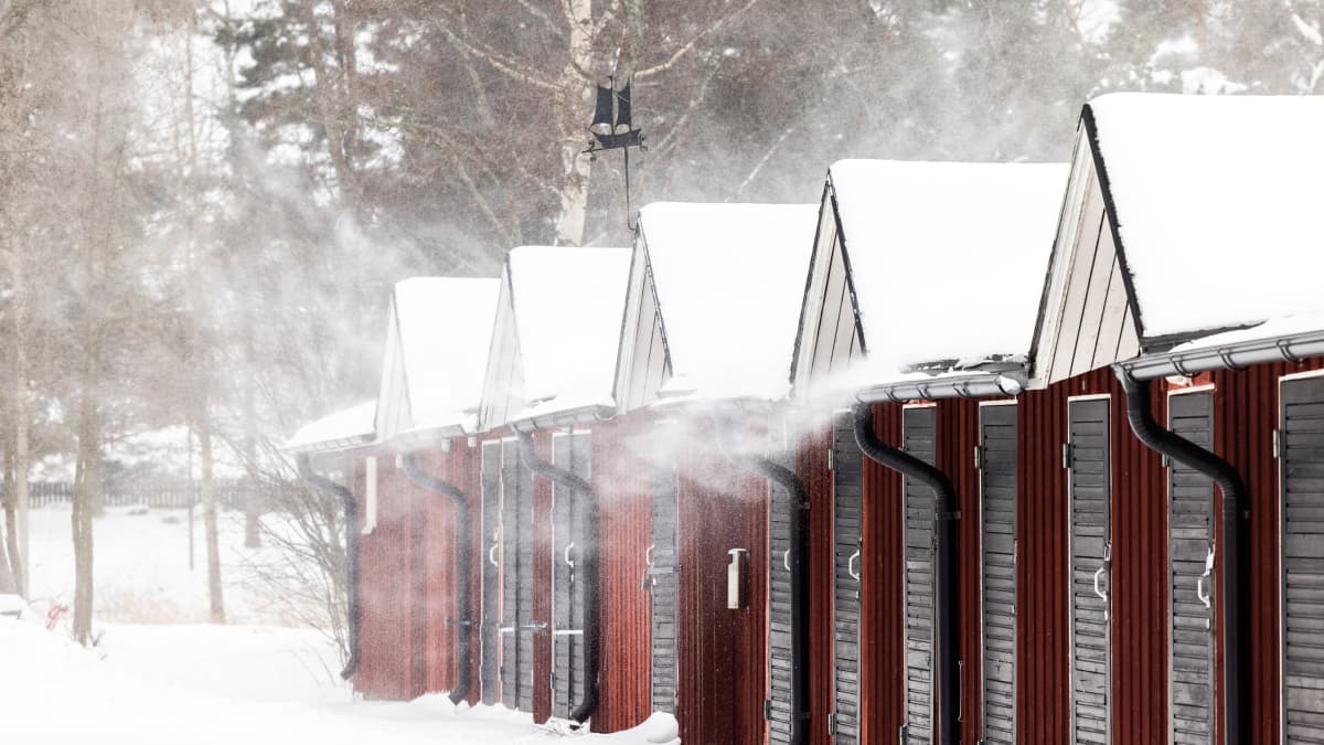 Espoon Haukilahdessa  lumi pöllysi kovissa tuulenpuuskissa.