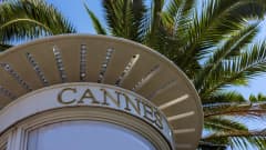 Kuvassa näkyy palmun lehtiä ja rakennus jonka seinässä lukee Cannes.