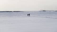 Parivaljakko käveli jäällä Kaivopuiston edustalla helmikuun alussa.