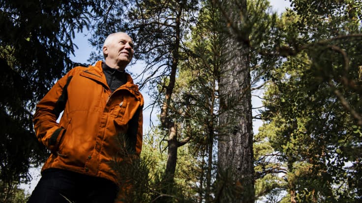 Timo Kujala valokuvattiin pienessä metsikössä aurinkoisena syyspäivänä.