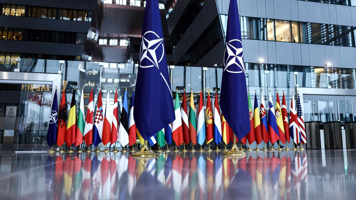 Naton ja jäsenmaiden lippuja.