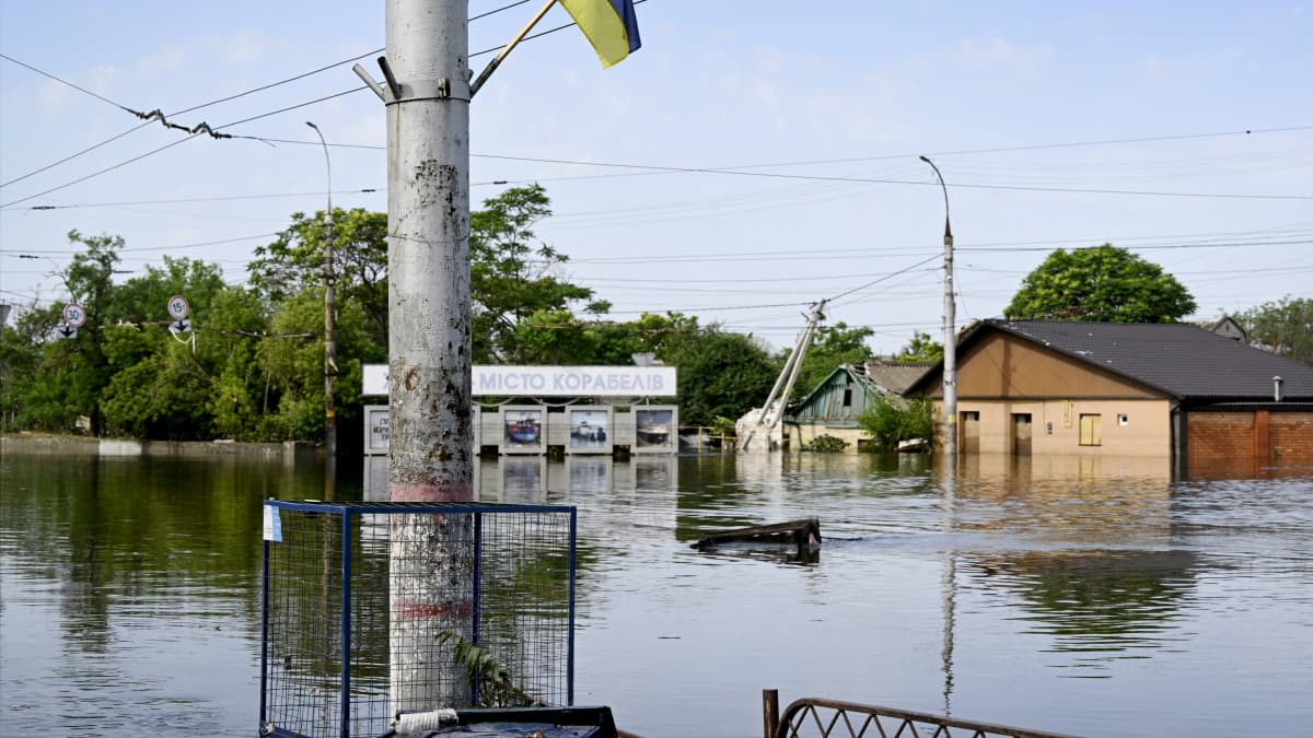Översvämmat område i Ukraina