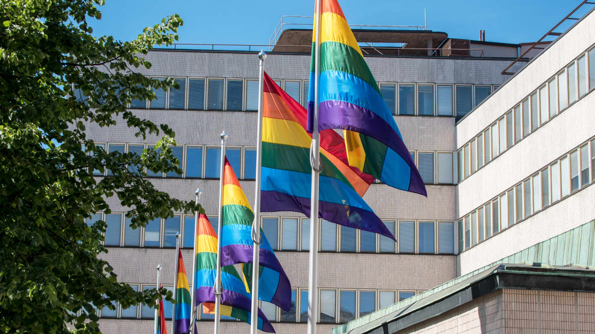Helsinki Pride 2017 -viikon aikana pidettiin sateenkaarilippuja esillä yliopiston Porthanian rakennuksen edessä.
