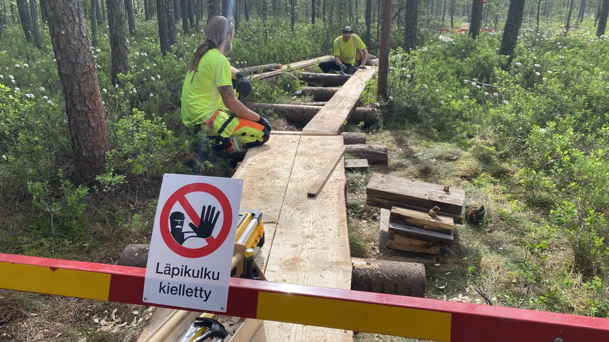 Lahden Linnaistensuon pitkospuiden uusiminen jäi vielä kesken lankkupulan  takia | Yle Uutiset
