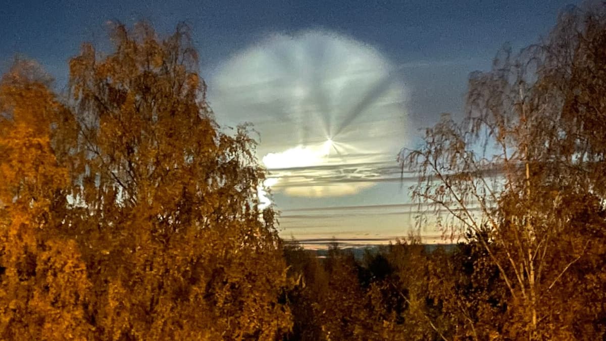 Valoilmiö taivaalla, edessä ruskaiset puut.
