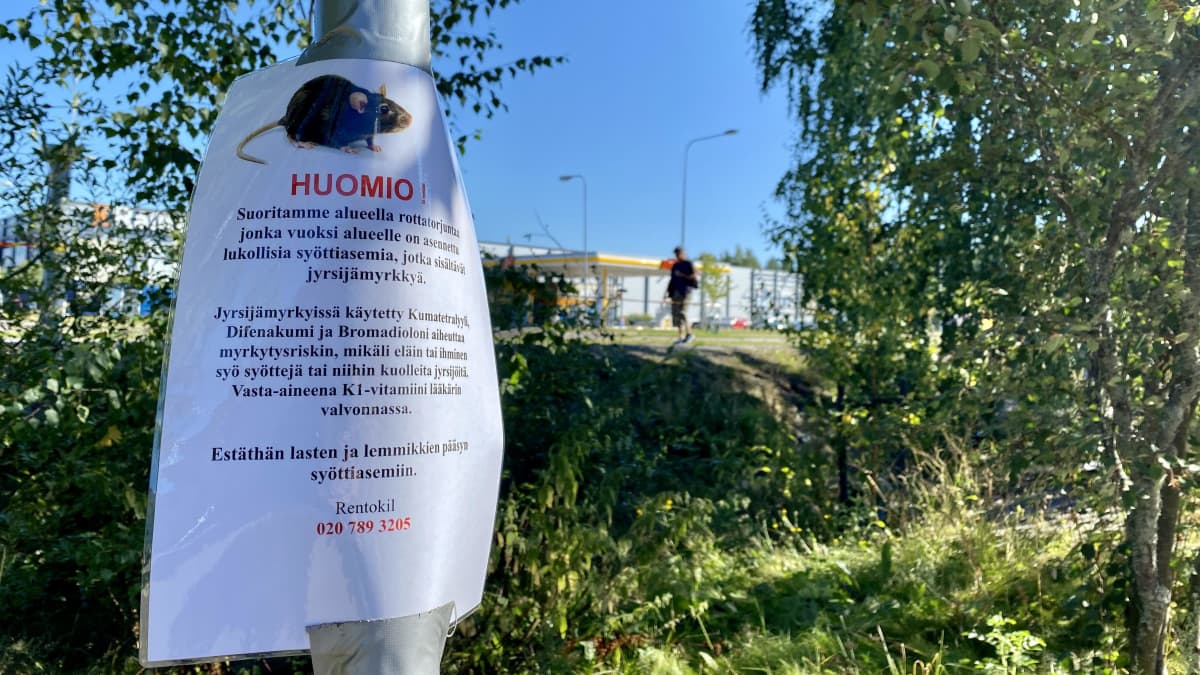 Lyhtypylvääseen kiinnitetty tiedote , jossa on rotan kuva ja tekstiä. Tekstissä kerrotaan, että alueella tehdään rottien torjuntatoimia. Taustalla rytekköä ja puustoa. Taaempana ihmishahmo ja vaalea rakennus. 