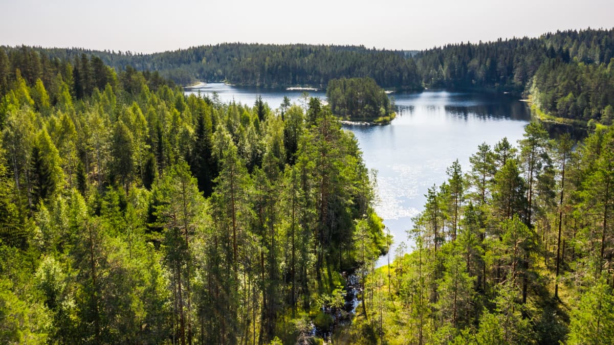 Ilmakuvassa Aitolampi, Heinävesi