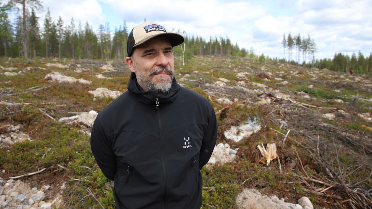 Metsähallituksen metsänhoitopäällikkö Olli Lipponen kävi tutustumassa istutusalueeseen