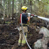 Palomies sammuttaa vesisuihkulla metsää.