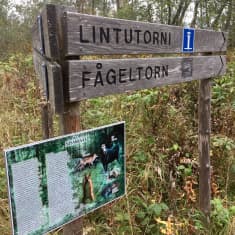 Maastossa puinen viitta lintuornille
