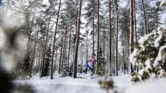 Frida Karlsson Lahden maailmancupissa.