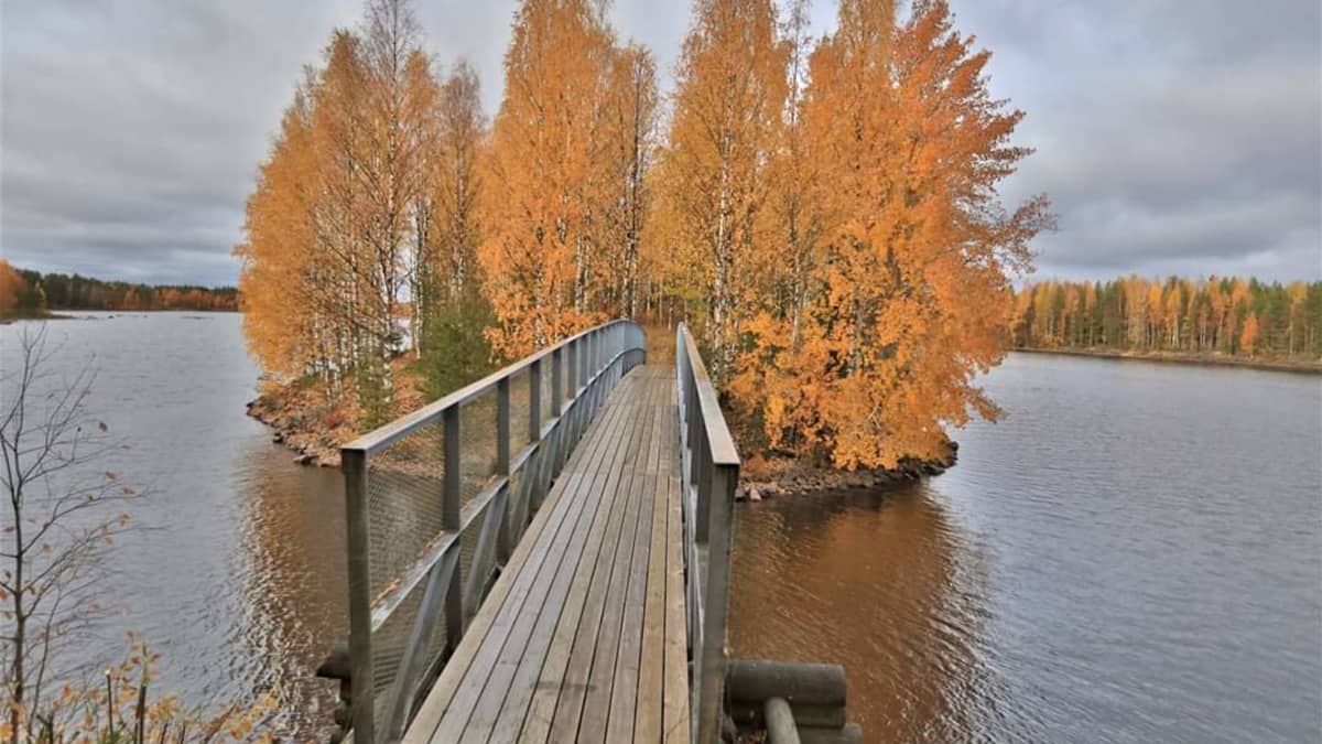Silta vie veden yli ruskan kellastamaan saareen.