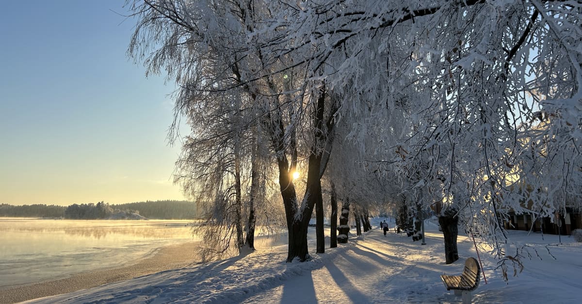 yle.fi