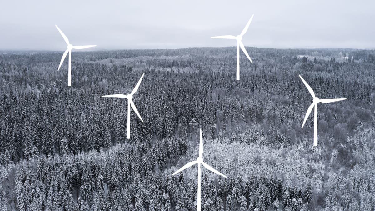 Metsämaisemassa viisi tuulivoimalaa.