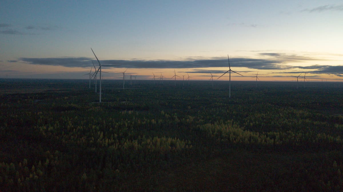 Piiparinmäen tuulivoimapuisto ilta-aurinkoa vasten.