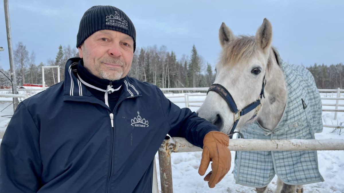 Pipopäinen mies nojaa hevostarhan aitaan talvella. Loimitettu harmaa hevonen nuuhkii miestä. 