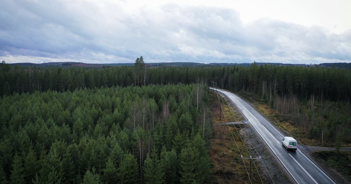 Metsien myyntihinnat ovat hypänneet yllätyslujaa – ennallistamisasetus ja muu EU-sääntely eivät ole vähentäneet ostohaluja