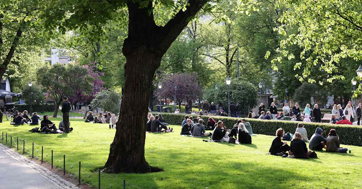 Aliisa Soljala on Homeland Party: Yle Coverage