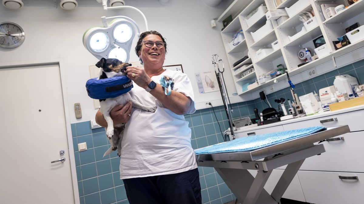 Sinikka Sarpanen,, eläinlääkäriasema Kekin toimitusjohtaja pitää sylissään koiraansa.